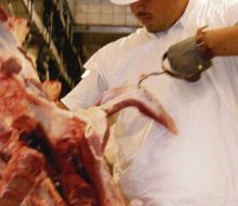 Uruguay fue habilitado para exportar estómagos bovinos a China