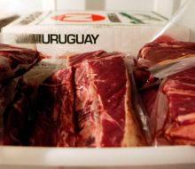 Uruguay colocó sus primeros lotes de carne sin aranceles en Europa tras acuerdo con la UE