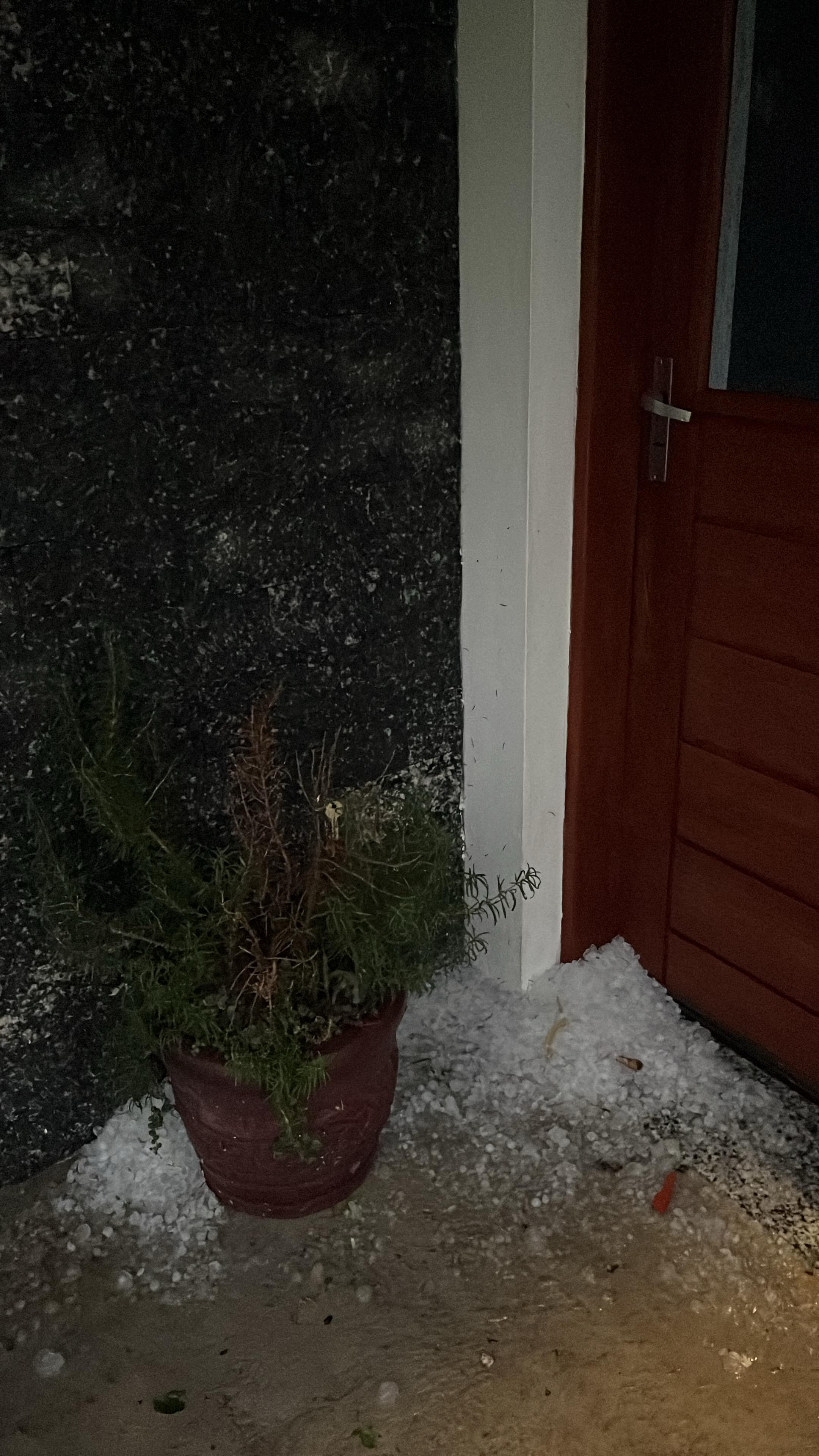 Vecinos_reportaron_importante_caída_de_granizo_cerca_de_La_Macana.jpeg