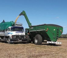 En mayo abren las inscripciones para el curso para manejo poscosecha de granos