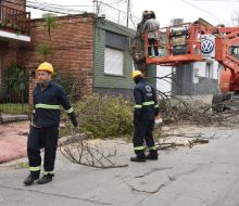Continúan los trabajos de poda del arbolado urbano en Florida