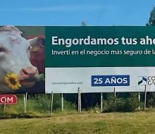 Informe confirmó que Conexión Ganadera no tenía ganado en Dicose y habla de “ficción”