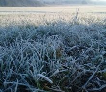 Frío polar en la región: aguanieve en el interior de Uruguay y nevadas históricas en Buenos Aires y Mar del Plata