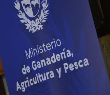 Desarrollo Rural del MGAP lanzó la convocatoria sobre herramientas digitales