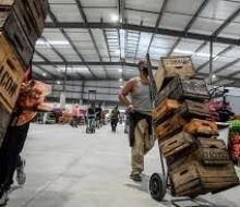 Temporal encarece frutas y verduras, pero muchos productos no fueron afectados