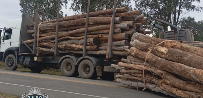 Vuelco de zorra cargada de madera en ruta 7 