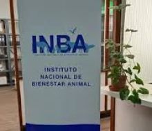Funcionarios del INBA alertaron que Rendición pondría en riesgo a más del 75% del personal