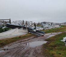 MGAP declaró emergencia granjera en Salto; prepara apoyo para productores afectados