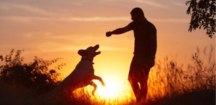 “Hay que fortalecer la salud mental”: diputado propone licencia laboral por la muerte de mascotas
