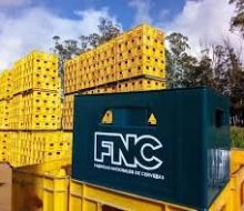 Sindicato de FNC resolvió levantar parcialmente las medidas y envasar refrescos en Montevideo