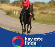 Calendario de actividades – Fin de semana Florida