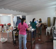 Avanza el plan de castraciones gratuitas