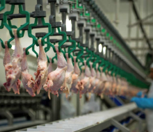 El precio de la carne aviar acumula una baja de 3,35% en 2026