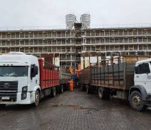 Exportación de ganado en pie: Turquía habilitó cupo de 480.000 cabezas para 2027