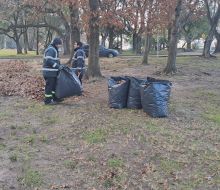 La Intendencia realiza trabajos de limpieza en el Prado Piedra Alta