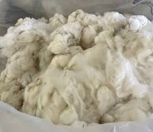 Con aumento de la oferta, el IME perdió 30 centavos al inicio de la zafra