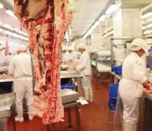 Industria frigorífica pide al gobierno garantías en la operativa del puerto para no perjudicar competitividad