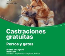 Continúa este martes el plan de castraciones gratuitas para perros y gatos