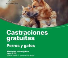 Continúan el miercoles las castraciones caninas en el marco del programa de Sanidad Animal