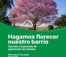 Invitan a participar de una jornada de plantación de árboles