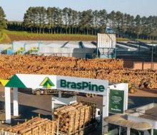 Rivera recibirá inversión forestal brasileña de US$ 250 millones