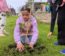 Continúan las plantaciones de árboles en el marco de Florida + Verde