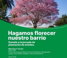 "Hagamos florecer nuestro barrio": convocan a una jornada de plantación de árboles en Florida