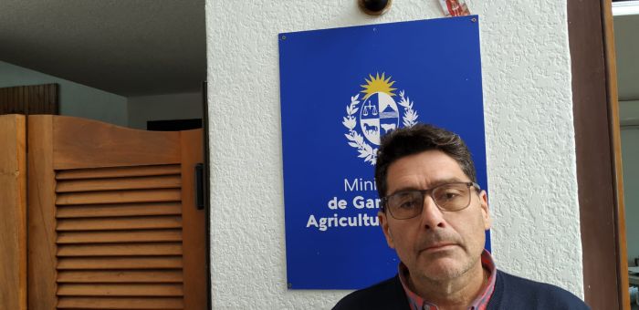 Nueva etapa de vacunación contra la fiebre aftosa será del 1 al 15 de noviembre