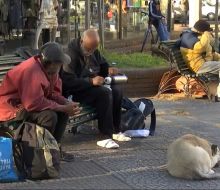 Mides anunció que llevará a personas en situación de calle a vivir y trabajar en el campo