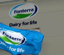Tercera caída de la leche en polvo entera