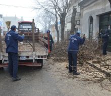 Director de Paseos Públicos aclaró situación por reclamo de daños durante una poda