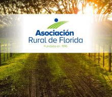 81º Exposición de Reproductores de Holando