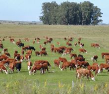 La Federación Rural exhorta a realizar un control de campo voluntario y regularizar saldos