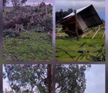 Fuertes vientos provocaron caída de árboles y la voladura de una zorra en Rincón Floridense