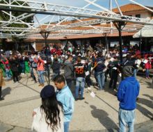 En agosto, jóvenes rurales de Uruguay y la región se reunirán para celebrar su día