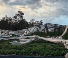 Se presentó un aditivo para incrementar en $ 42 millones al Fondo de Emergencia Agropecuaria