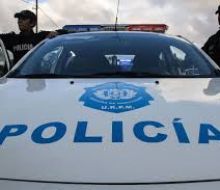 Policía de Lavalleja preocupada por el aumento de ataques de perros a animales de producción