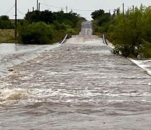Florida registra 4 pasos cortados