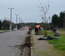 Trabajos de mantenimiento en calle Florencio Sánchez