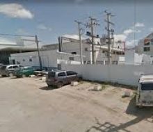 Rosario recuperó la habilitación para China y proyecta faenar hasta 600 vacunos por semana