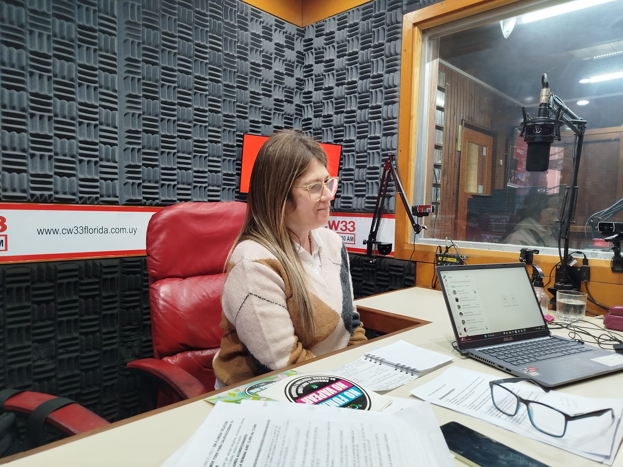 ANDREINA_MANSULINO_16-5-26.jpeg