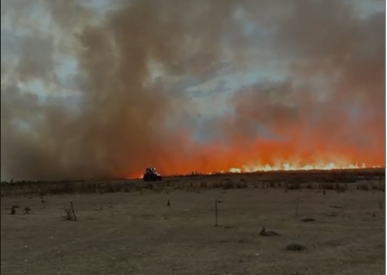 Bomberos_trabajaron_en_incendio_de_campo_en_ruta_7._El_fuego_fue_controlado_y_se_reactivó_2.jpg