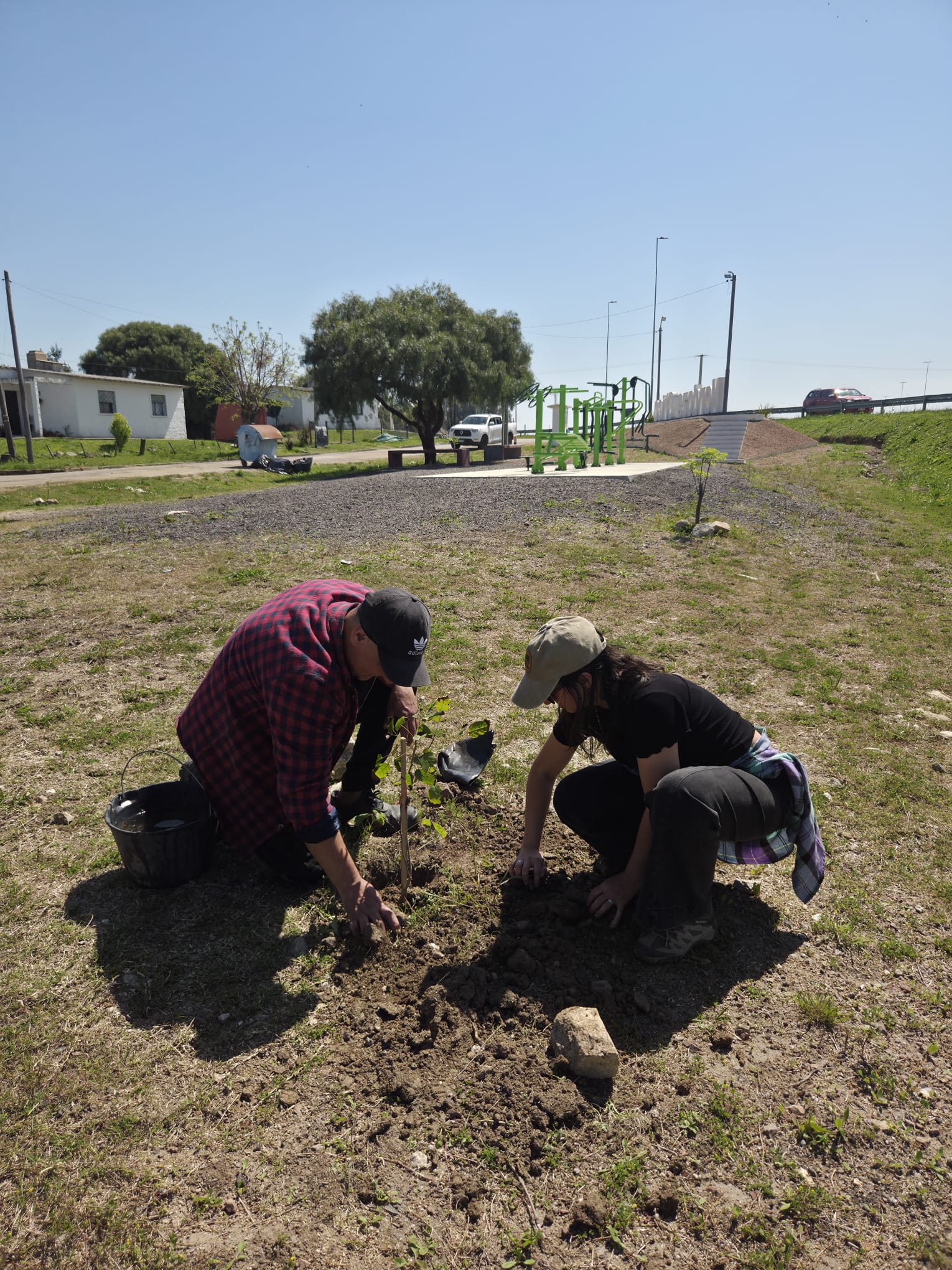 Continúan_las_jornadas_de_plantación_y_puesta_en_valor_de_espacios_públicos.jpeg