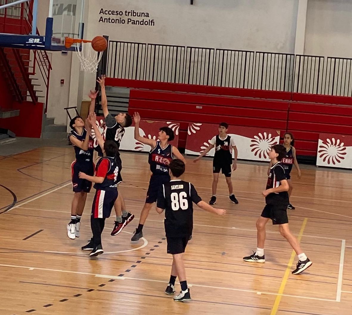 Básquetbol Florida volvió a ganar en todas las categorías