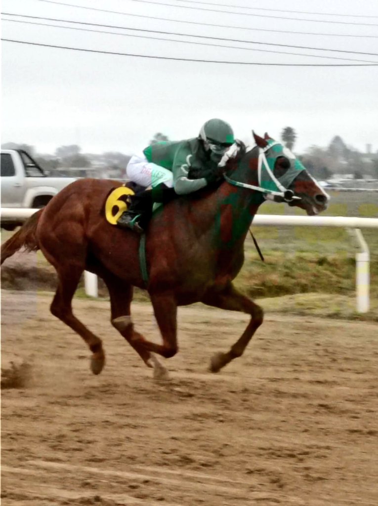 Lorenzito ganó el Gran Premio 45 años de CW33 La Nueva Radio Florida 3