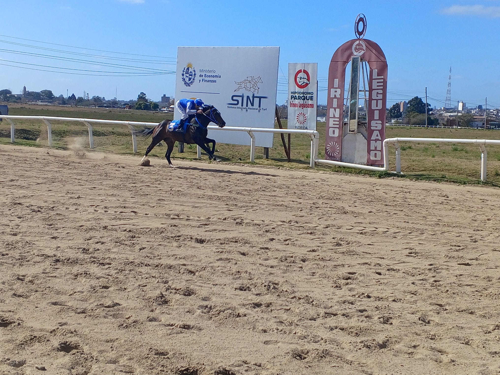 Turf Viejo Native ganó la carrera 49 Aniversario de CW33 La Nueva Radio Florida 2