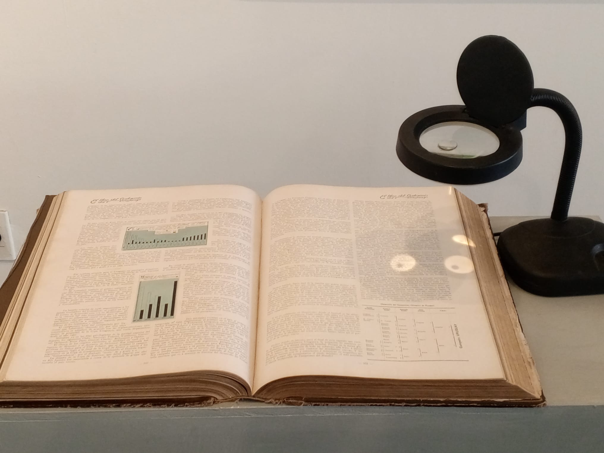 Detectives_en_el_Archivo_acercó_a_niños_al_Museo_Histórico_Departamental_3.jpeg