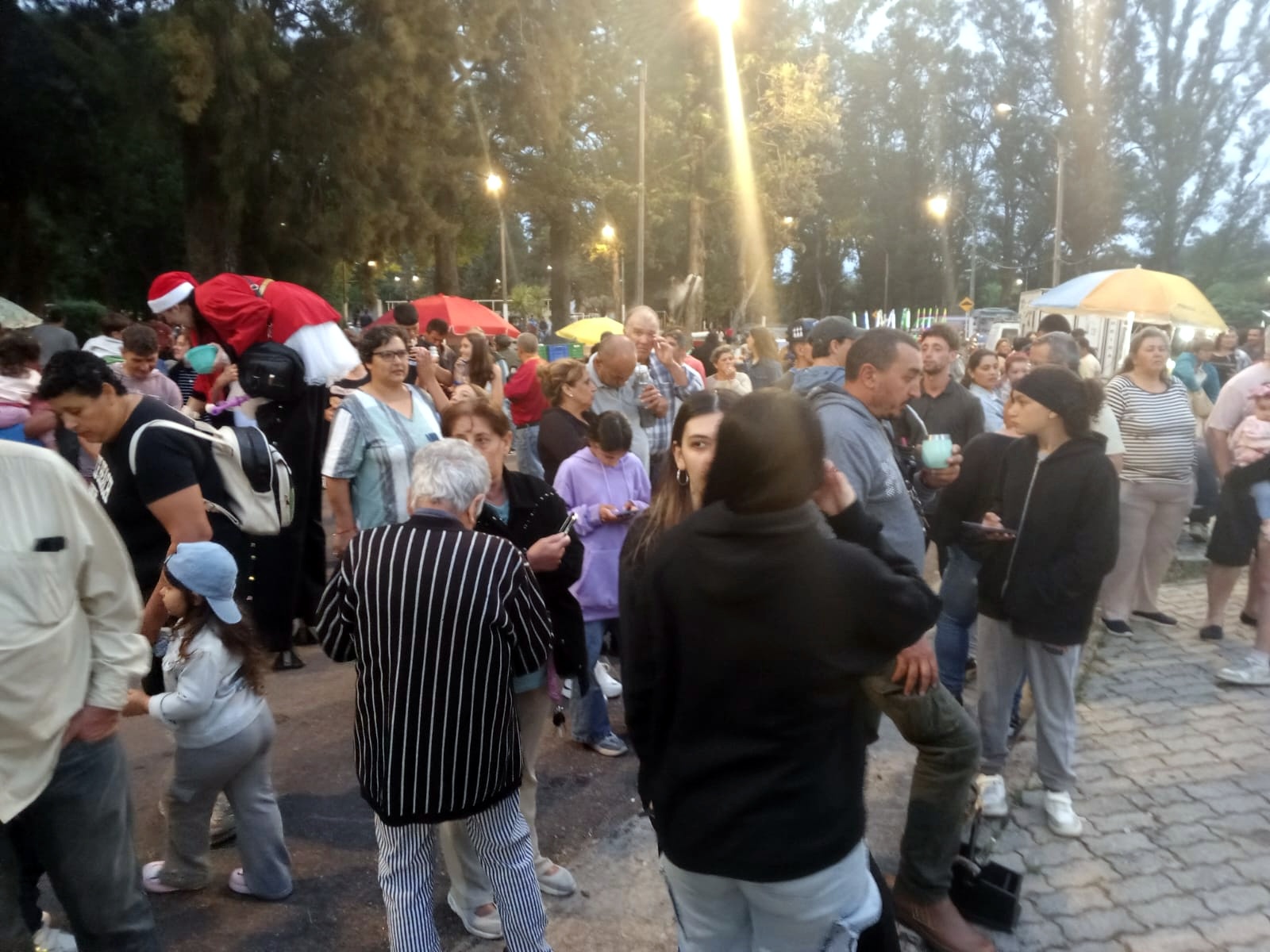 Florida_encendió_su_árbol_de_Navidad_3.jpeg