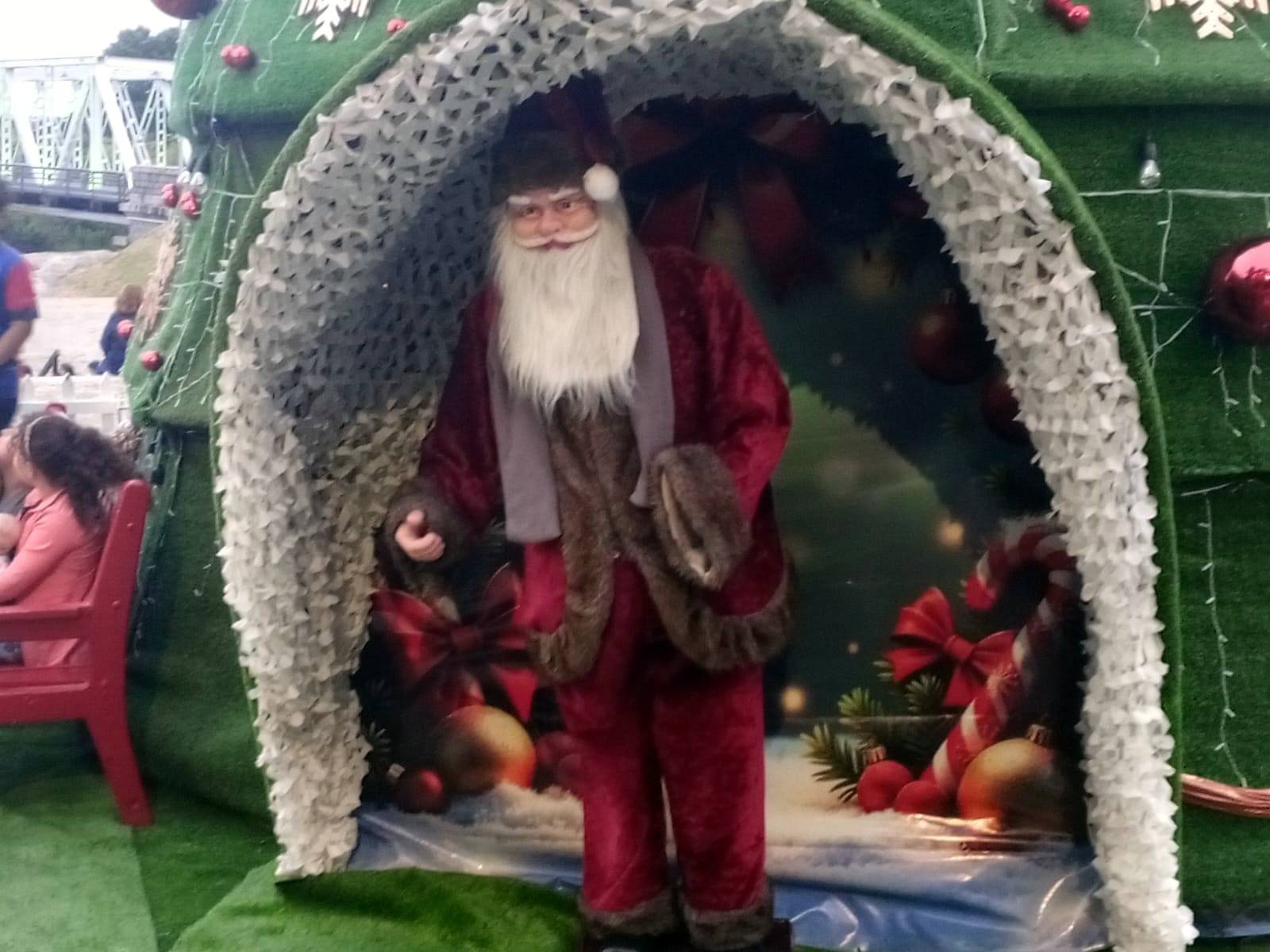 Florida_encendió_su_árbol_de_Navidad_4.jpeg