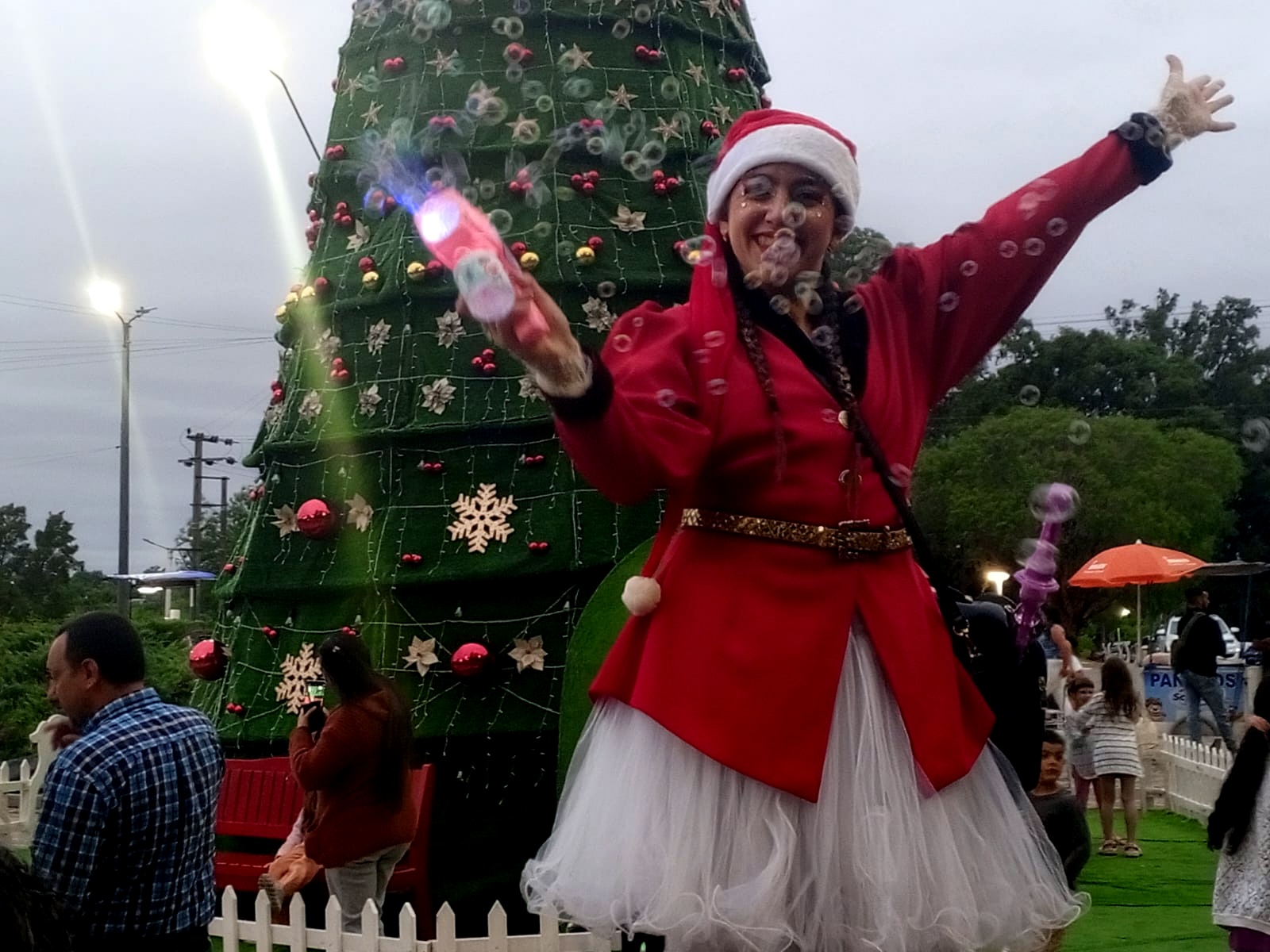 Florida_encendió_su_árbol_de_Navidad_6.jpeg